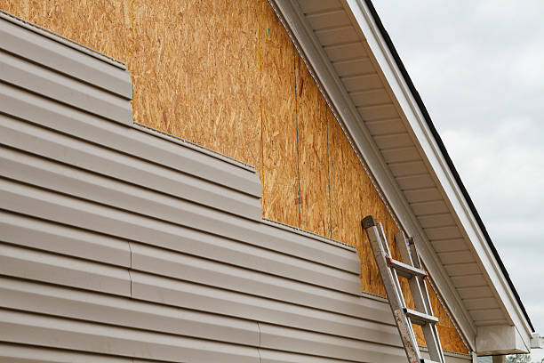 Professional Vinyl Siding technician working in Capron, IL